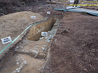 D発掘区　1段目平坦面　円筒埴輪列