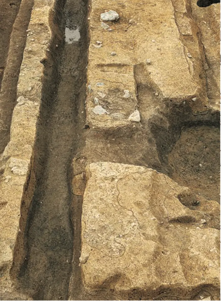 写真：大極殿後方西回廊の礎石据付痕跡（南から）